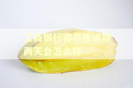 工商银行容易借逾期两天会怎么样 工商银行容易借逾期两天会怎么样