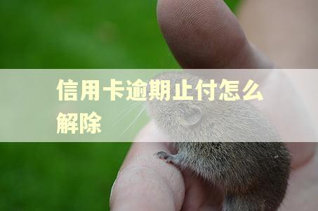 信用卡逾期止付怎么解除