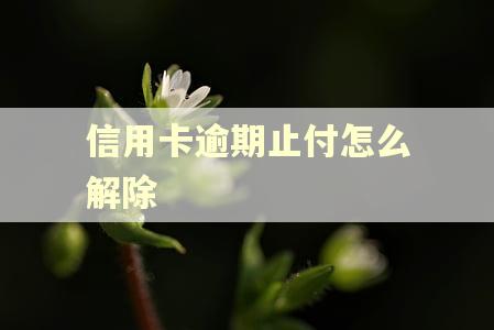 信用卡逾期止付怎么解除