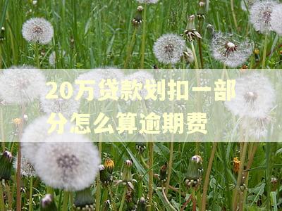 20万贷款划扣一部分怎么算逾期费