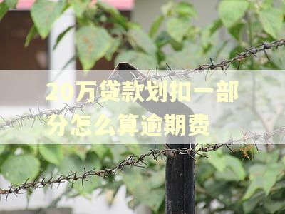 20万贷款划扣一部分怎么算逾期费