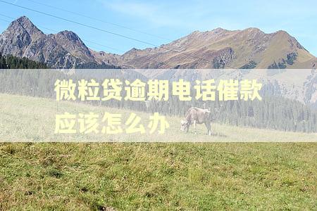 微粒贷逾期电话催款应该怎么办