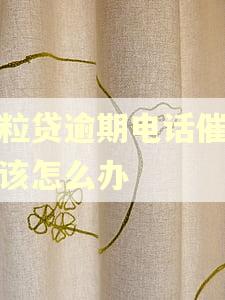 微粒贷逾期电话催款应该怎么办