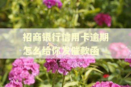 招商银行信用卡逾期怎么给你发催款函