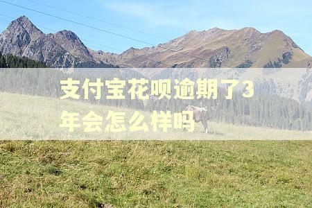 支付宝花呗逾期了3年会怎么样吗