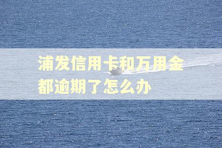 浦发信用卡和万用金都逾期了怎么办