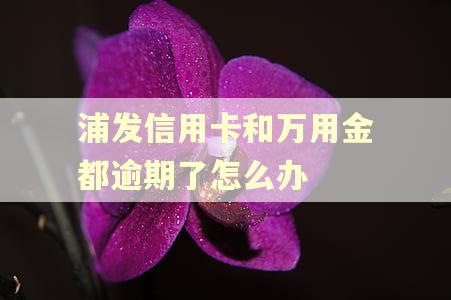 浦发信用卡和万用金都逾期了怎么办