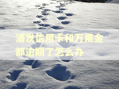 浦发信用卡和万用金都逾期了怎么办