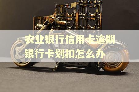 农业银行信用卡逾期银行卡划扣怎么办