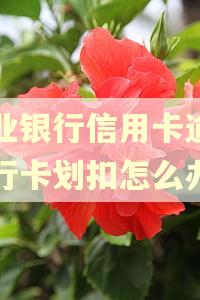 农业银行信用卡逾期银行卡划扣怎么办