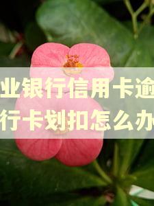 农业银行信用卡逾期银行卡划扣怎么办