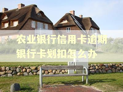 农业银行信用卡逾期银行卡划扣怎么办 农业银行信用卡逾期银行卡划扣怎么办