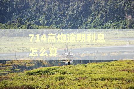714高炮逾期利息怎么算
