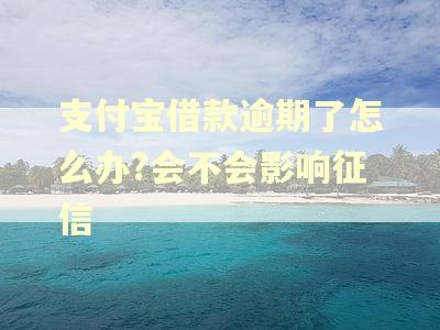 支付宝借款逾期了怎么办?会不会影响征信
