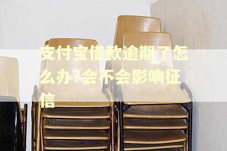 支付宝借款逾期了怎么办?会不会影响征信