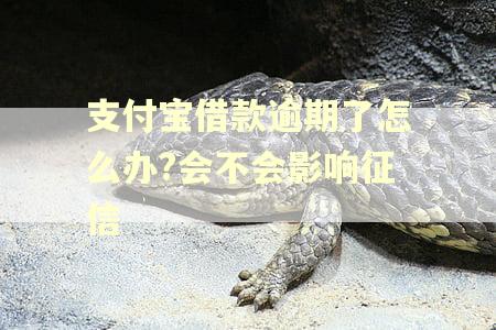支付宝借款逾期了怎么办?会不会影响征信