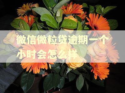 微信微粒贷逾期一个小时会怎么样