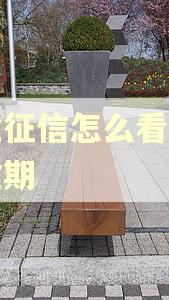 企业征信怎么看有没有逾期