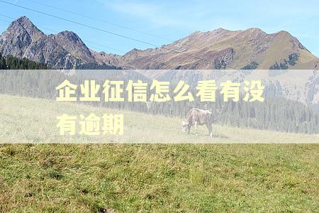 企业征信怎么看有没有逾期 企业征信怎么看有没有逾期