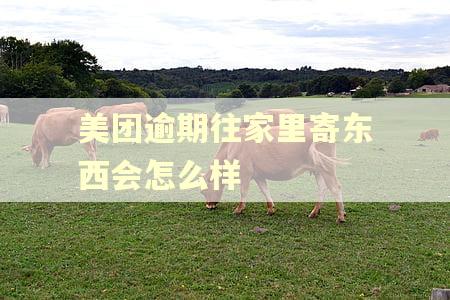美团逾期往家里寄东西会怎么样