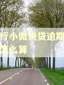 建行小微快贷逾期利息怎么算