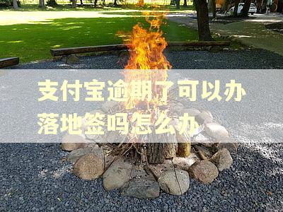 支付宝逾期了可以办落地签吗怎么办