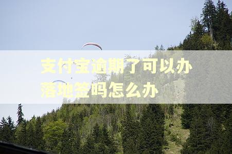 支付宝逾期了可以办落地签吗怎么办