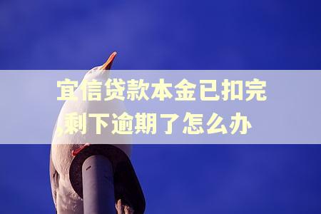 宜信贷款本金已扣完,剩下逾期了怎么办
