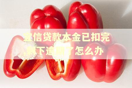 宜信贷款本金已扣完,剩下逾期了怎么办