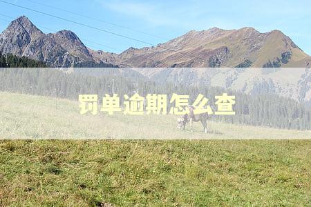 罚单逾期怎么查