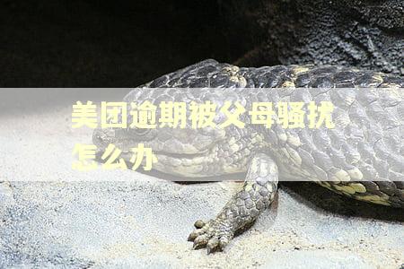 美团逾期被父母骚扰怎么办