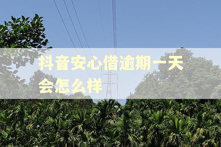 抖音安心借逾期一天会怎么样