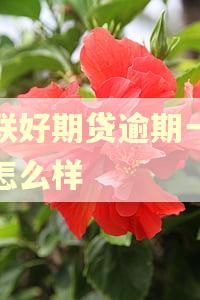 招联好期贷逾期一天会怎么样