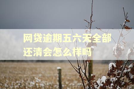 网贷逾期五六天全部还清会怎么样吗