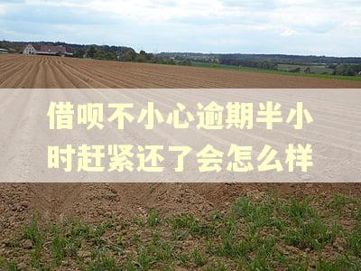 借呗不小心逾期半小时赶紧还了会怎么样