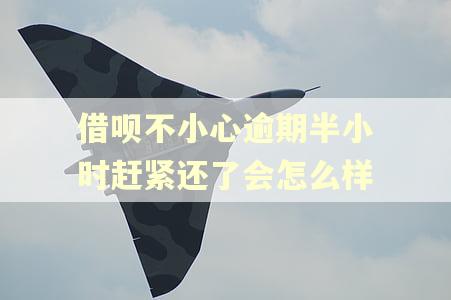 借呗不小心逾期半小时赶紧还了会怎么样