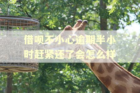 借呗不小心逾期半小时赶紧还了会怎么样