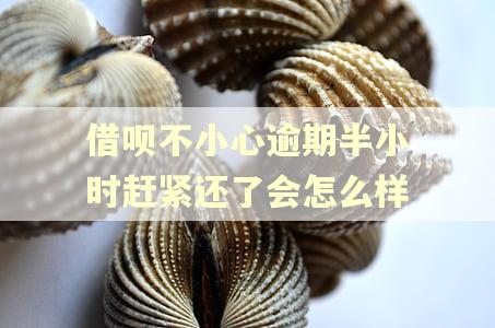 借呗不小心逾期半小时赶紧还了会怎么样 借呗不小心逾期半小时赶紧还了会怎么样