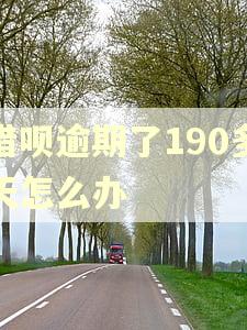 借呗逾期了190多天怎么办