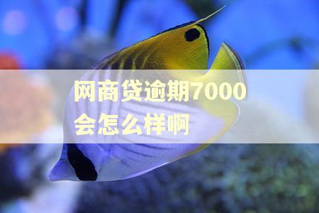 网商贷逾期7000会怎么样啊 网商贷逾期7000会怎么样啊