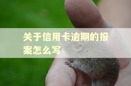 关于信用卡逾期的报案怎么写