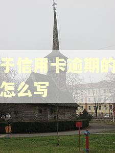 关于信用卡逾期的报案怎么写