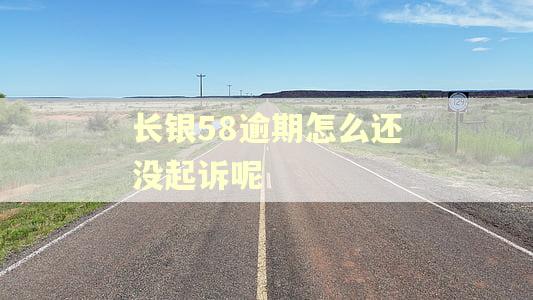 长银58逾期怎么还没起诉呢