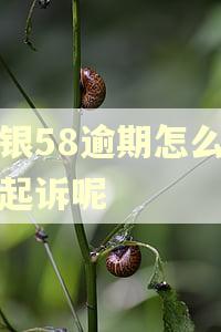 长银58逾期怎么还没起诉呢