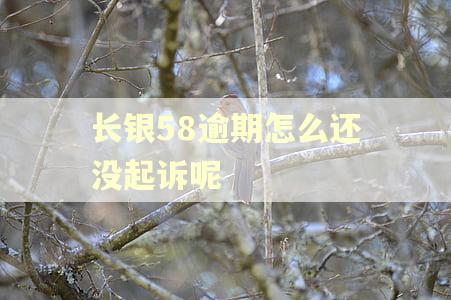 长银58逾期怎么还没起诉呢 长银58逾期怎么还没起诉呢