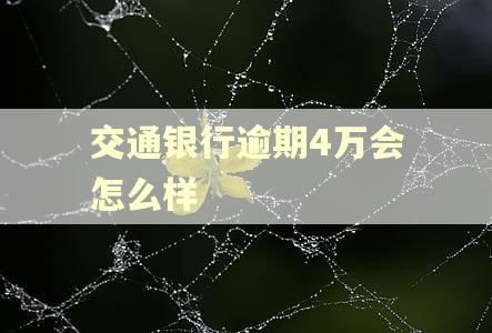 交通银行逾期4万会怎么样