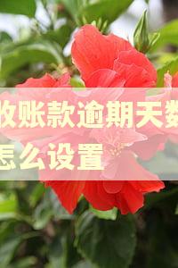 应收账款逾期天数函数怎么设置