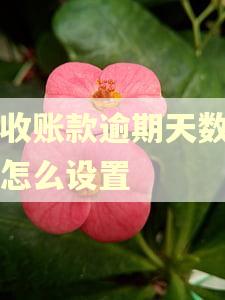 应收账款逾期天数函数怎么设置 应收账款逾期天数函数怎么设置