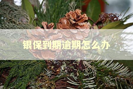 银保到期逾期怎么办