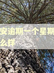 平安逾期一个星期会怎么样 平安逾期一个星期会怎么样